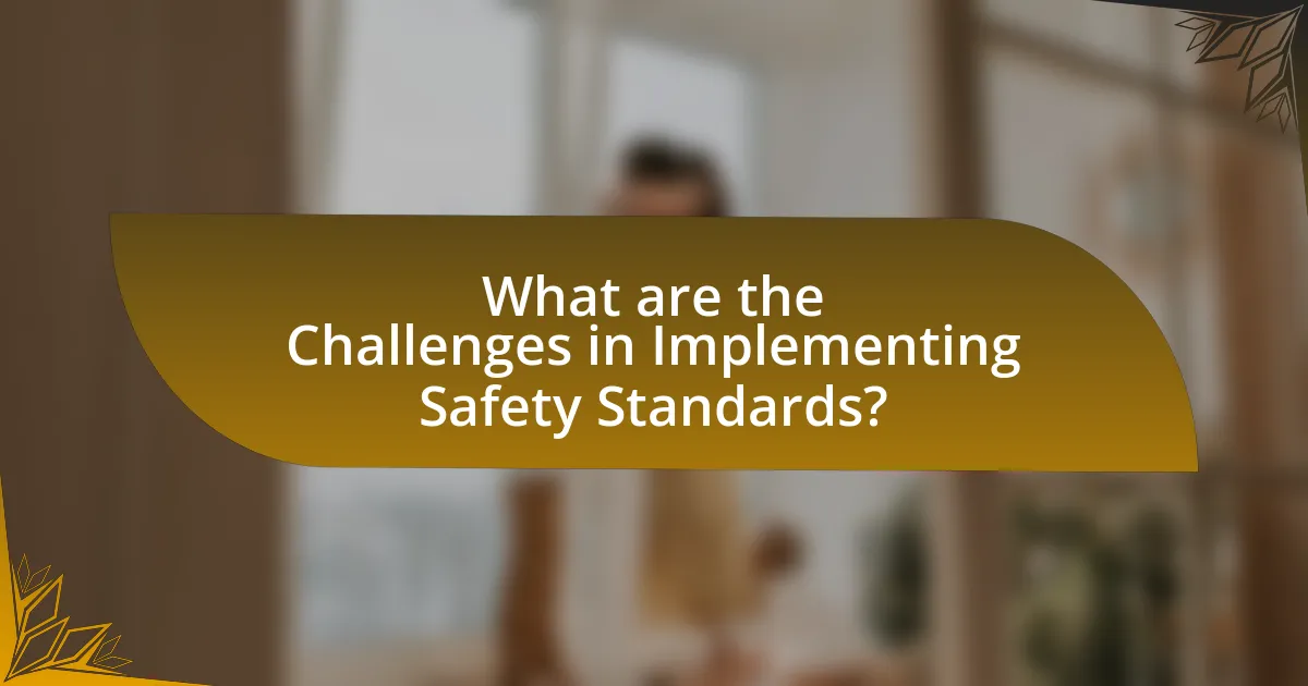 What are the Challenges in Implementing Safety Standards?
