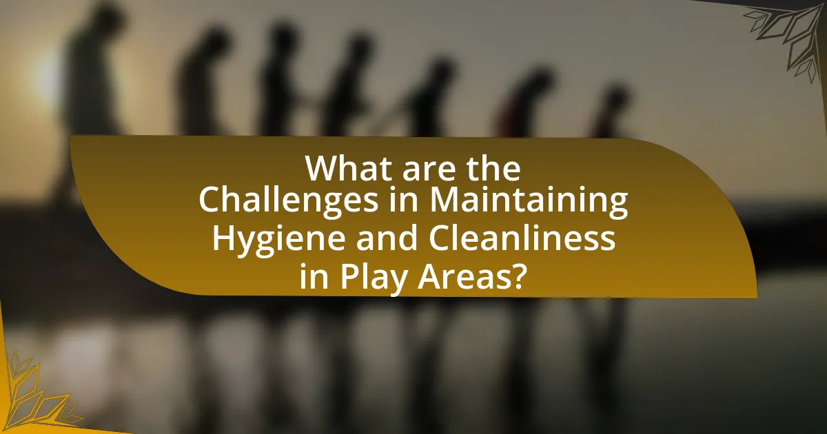 What are the Challenges in Maintaining Hygiene and Cleanliness in Play Areas?