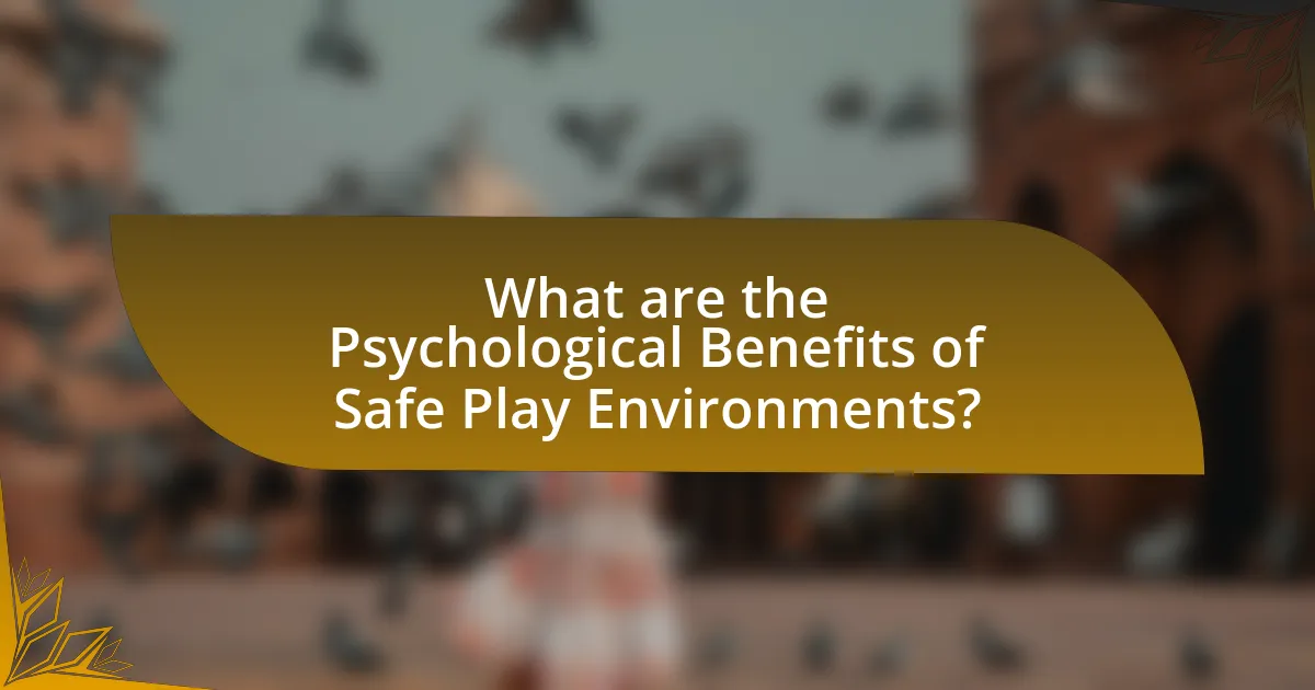 What are the Psychological Benefits of Safe Play Environments?